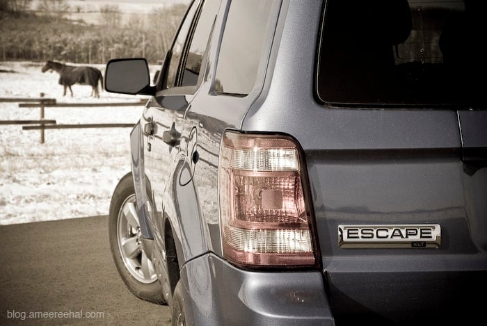 2009 Ford Escape XLT Review